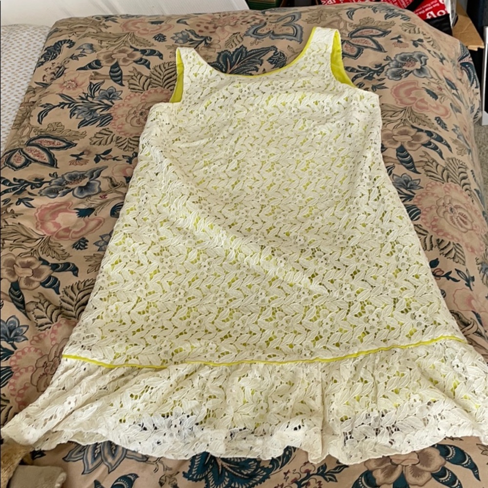 Ann Taylor Loft Dress Size 8